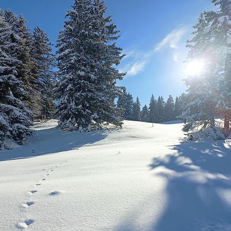 Ferien In Der Region Lenzerheide Apartment Exterior photo